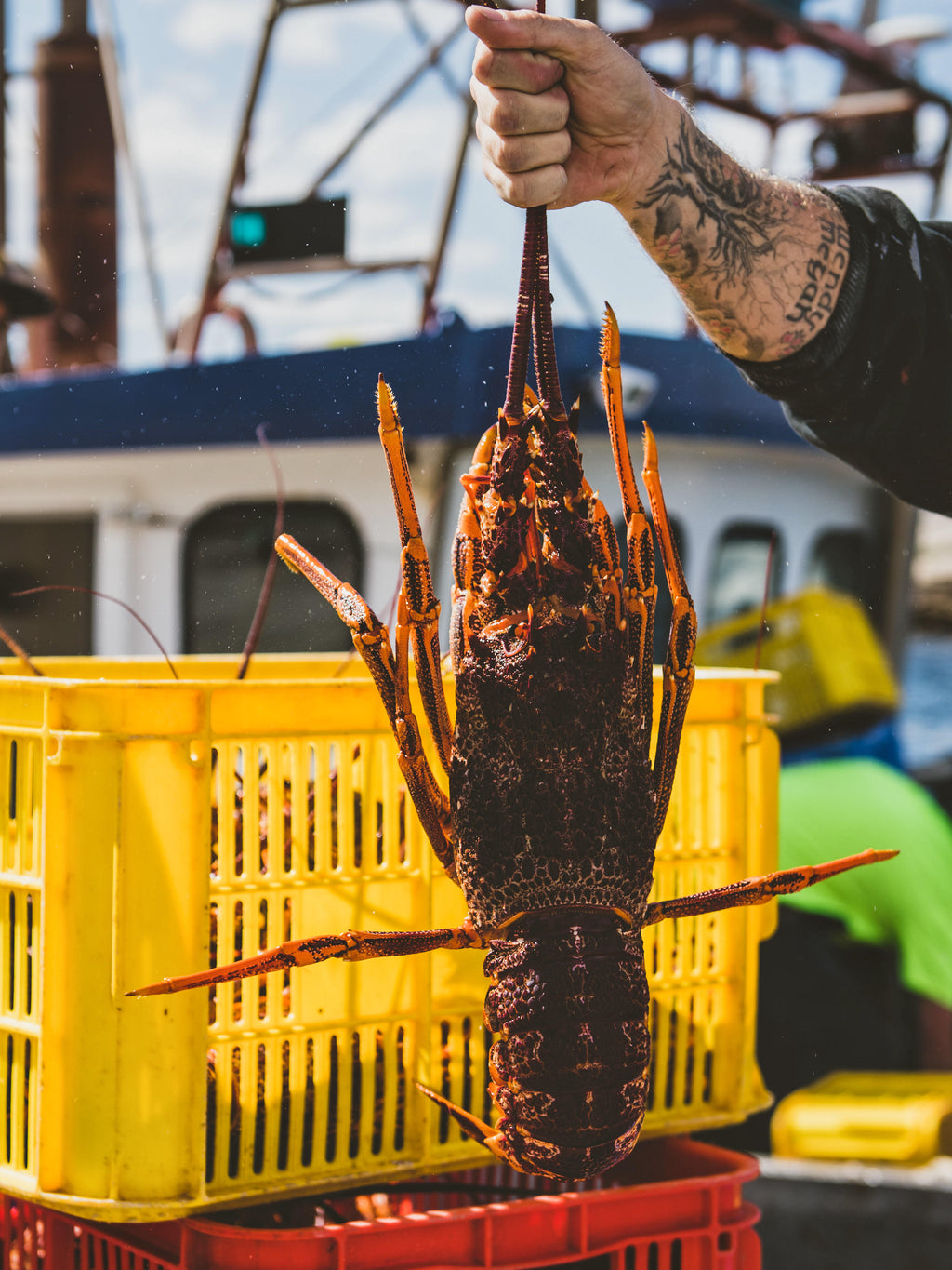 Wild Caught Lobster Tails – Fresh & Juicy