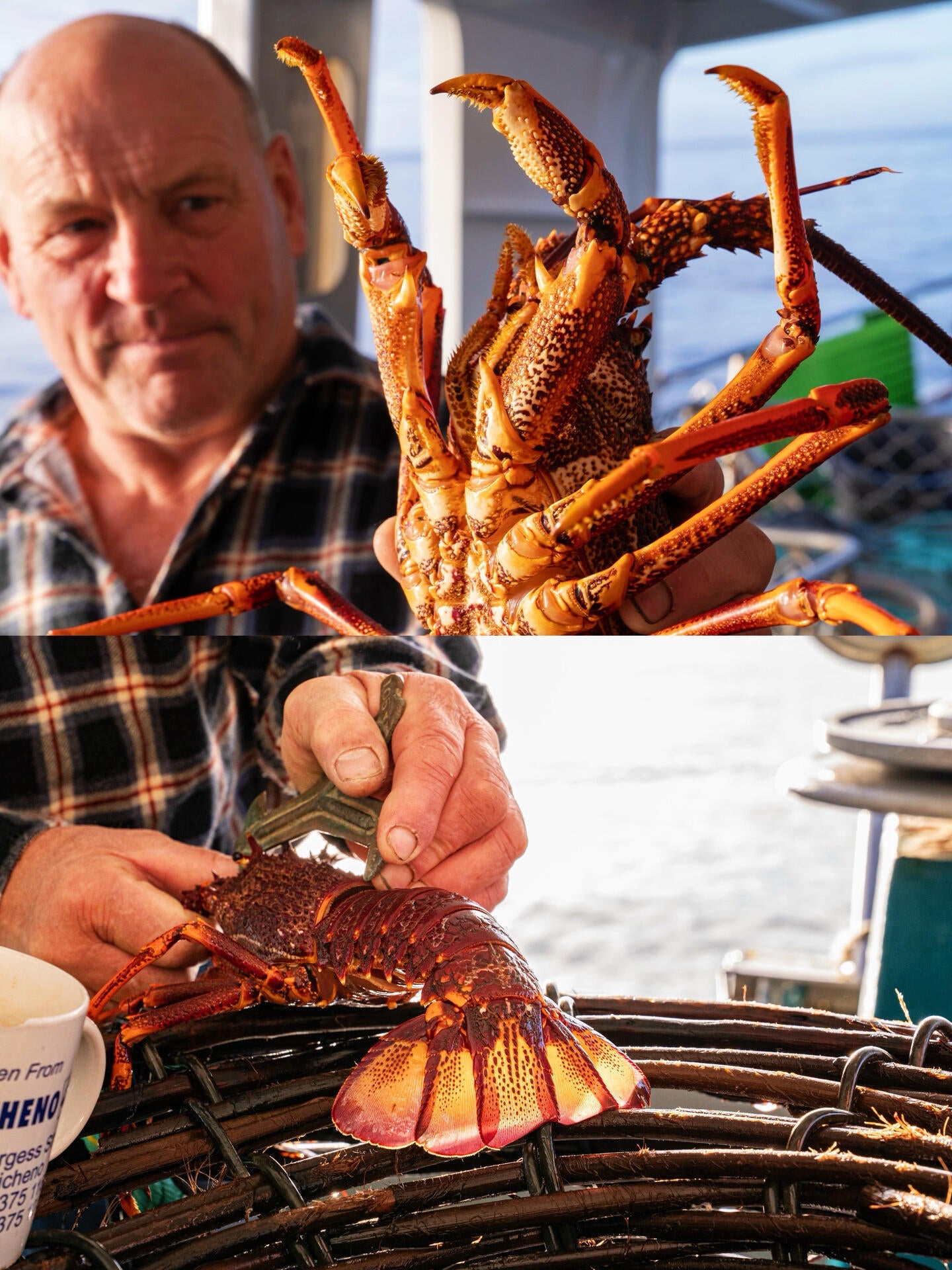 Wild Caught Lobster Tails – Fresh & Juicy